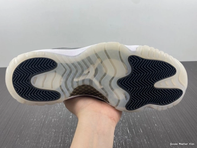 CT8012-170 Air Jordan Jordan Air 11 11DMP 0730